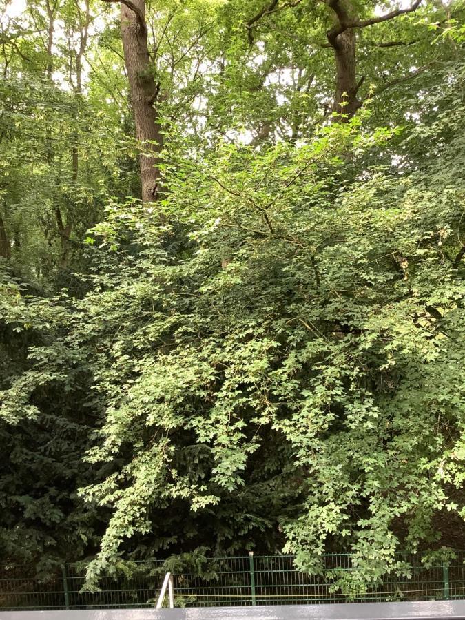 Bremer 45 - Exklusives Am Kurpark Appartement Wilhelmshaven
